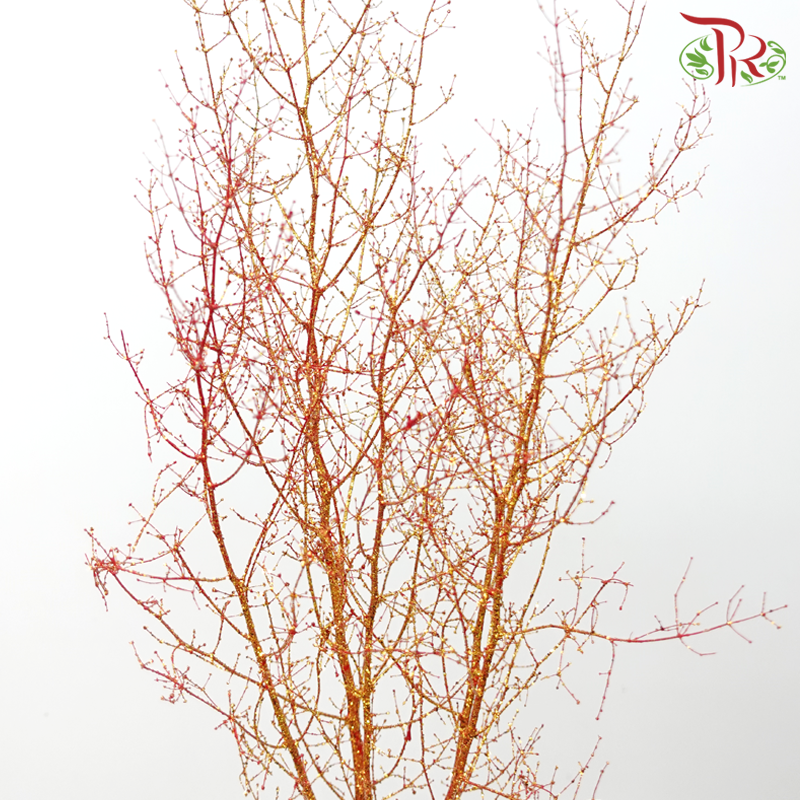 Asparagus Leaf Dyed - Glitter Gold (Per Bunch)-Glitter Gold-Japan-prflorist.com.my