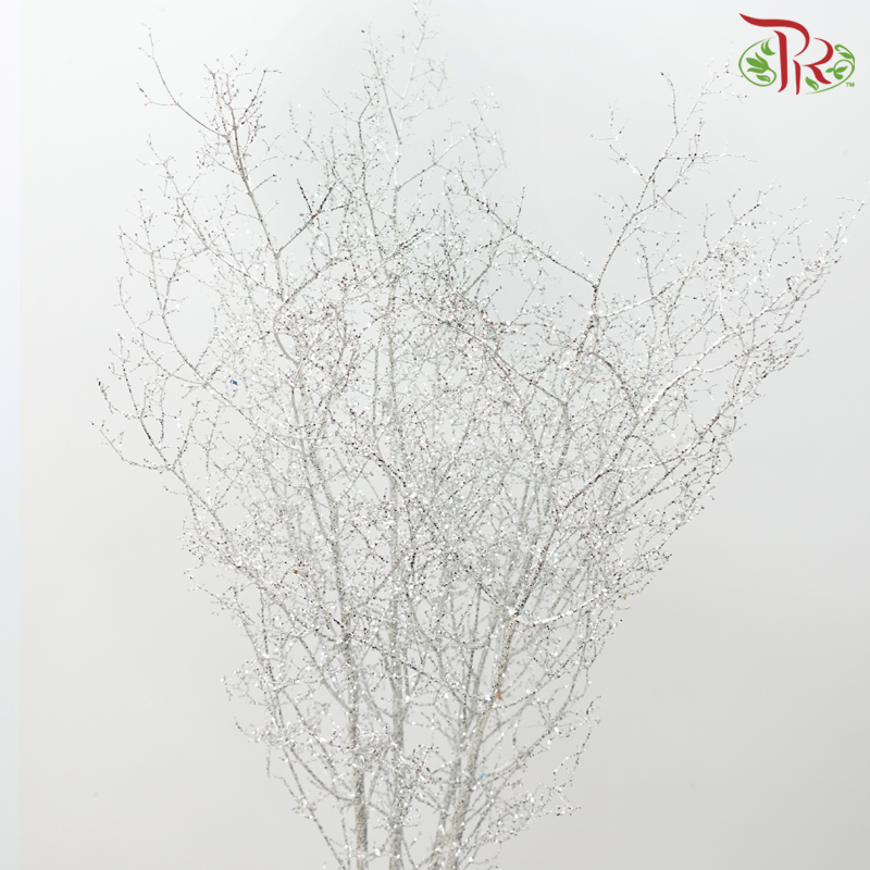 Asparagus Leaf Dyed - Glitter Silver (Per Bunch)-Glitter Silver-Japan-prflorist.com.my