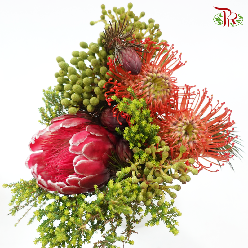 Assorted Bunch - Protea Venus & Leucospermum-Africa-prflorist.com.my