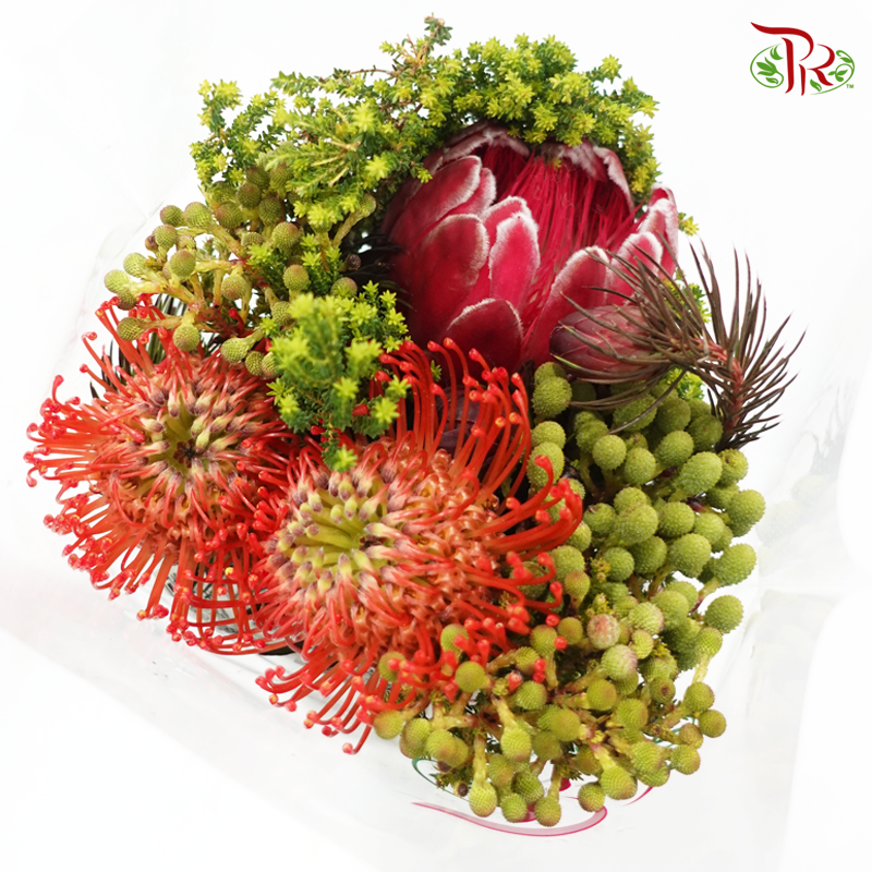 Assorted Bunch - Protea Venus & Leucospermum-Africa-prflorist.com.my