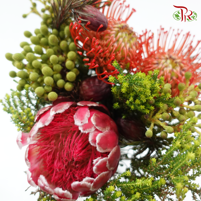 Assorted Bunch - Protea Venus & Leucospermum-Africa-prflorist.com.my