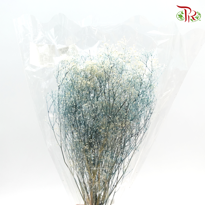 Preserved Baby's Breath Mini