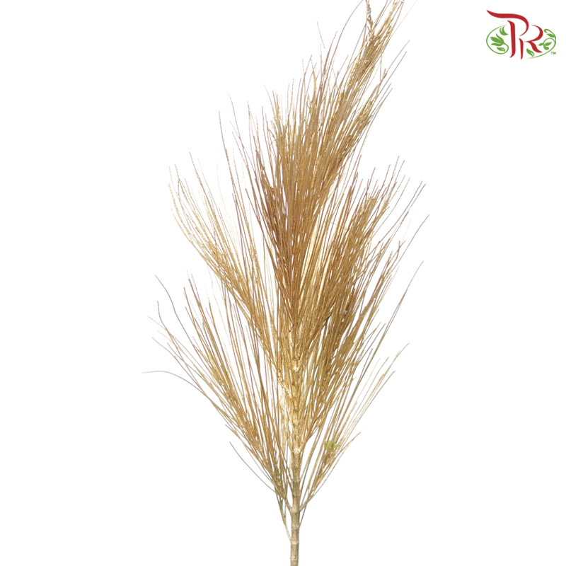 Beefwood Xmas Dyed - Gold (5 Stems)-Gold-Africa-prflorist.com.my