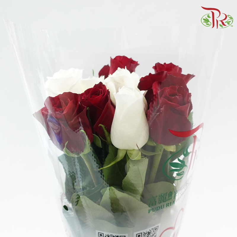 Bond of Love - (Mixed - Kenya Ever Red & Proud) - (10 Stems Per Bundle)-Kenya-prflorist.com.my