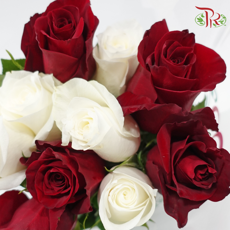 Bond of Love - (Mixed - Kenya Ever Red & Proud) - (10 Stems Per Bundle)-Kenya-prflorist.com.my