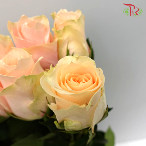 Rose - Lupita (10 Stems) - Pudu Ria Florist