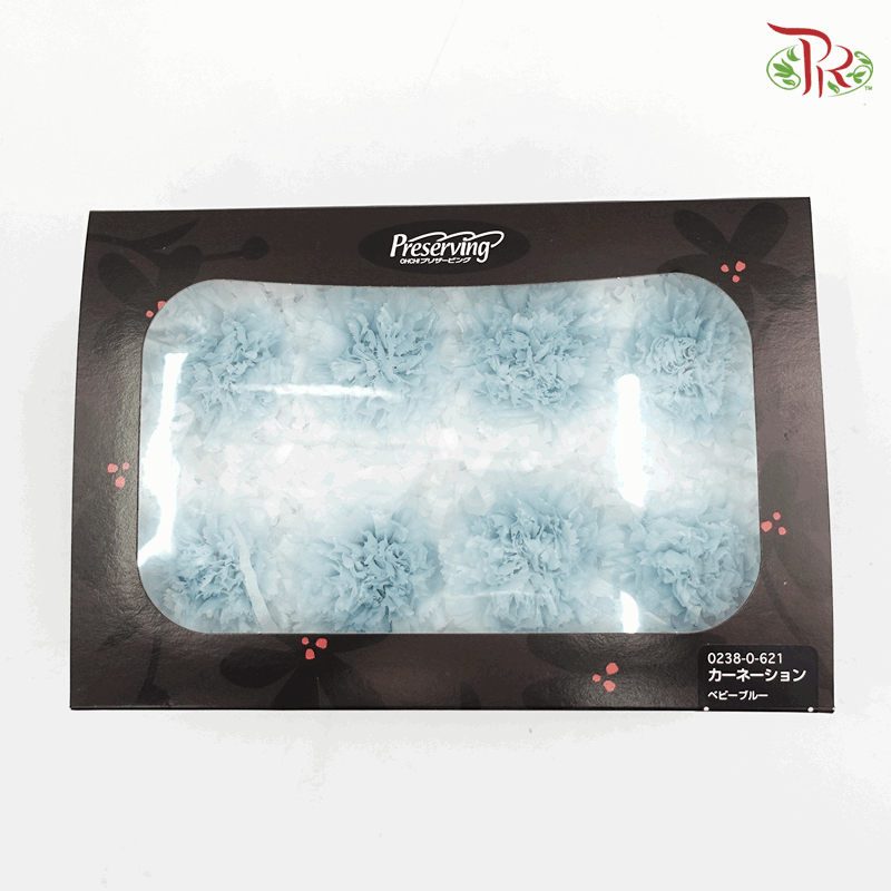 Carnation Preserved - Light Blue ( 0238-0-621 )-Blue-Japan-prflorist.com.my
