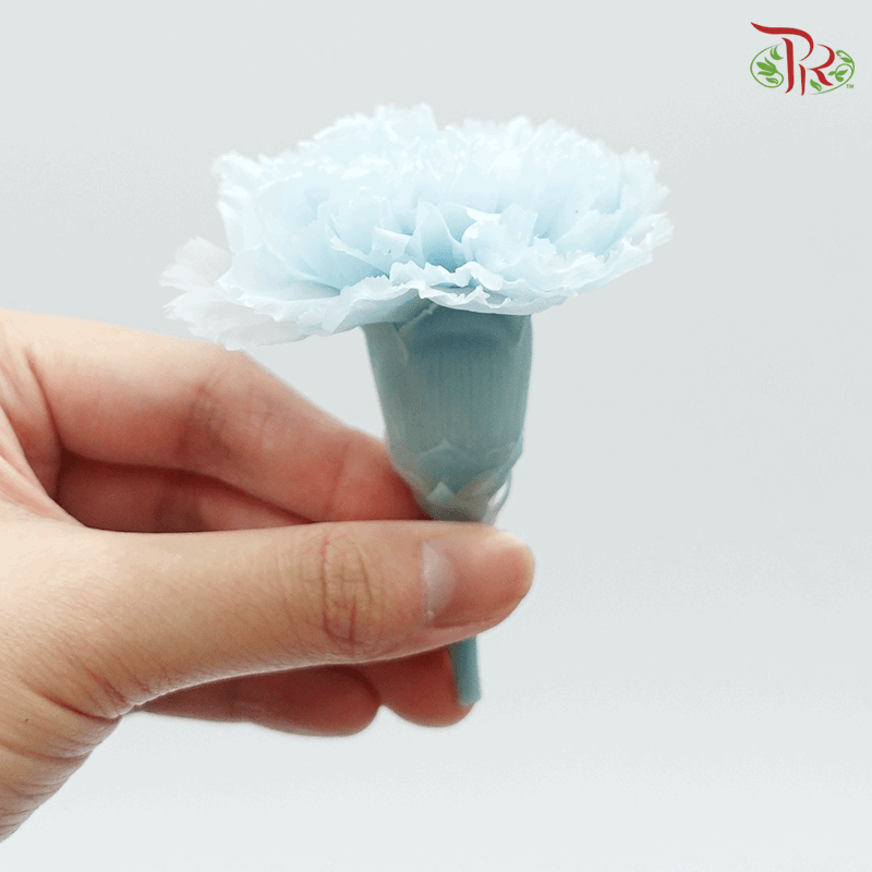 Carnation Preserved - Light Blue ( 0238-0-621 )-Blue-Japan-prflorist.com.my