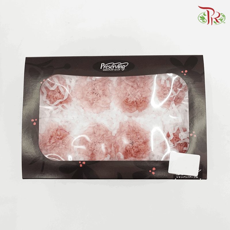 Carnation Preserved - Light Pink ( 0238-3-025 )-Pink-Japan-prflorist.com.my