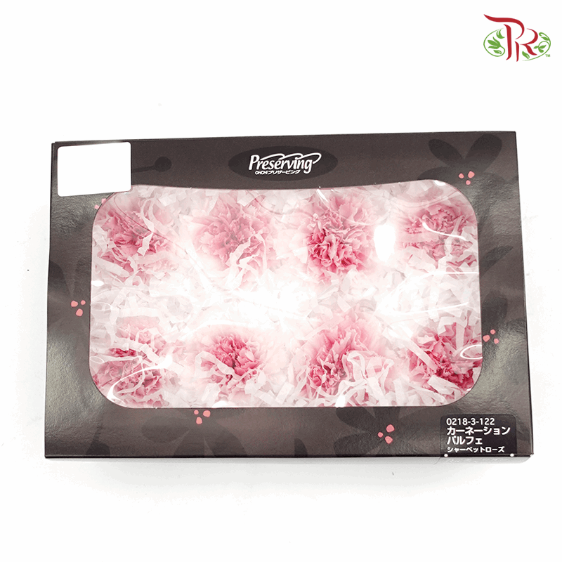 Carnation Preserved - Mariah Pink ( 0218-3-122 )-Pink-Japan-prflorist.com.my