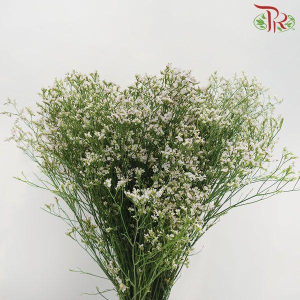 Caspia - Light Pink (Per Bunch)-Pink-China-prflorist.com.my