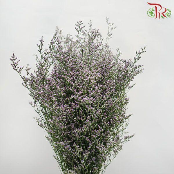 Caspia - Purple (Per Bunch)-Purple-China-prflorist.com.my