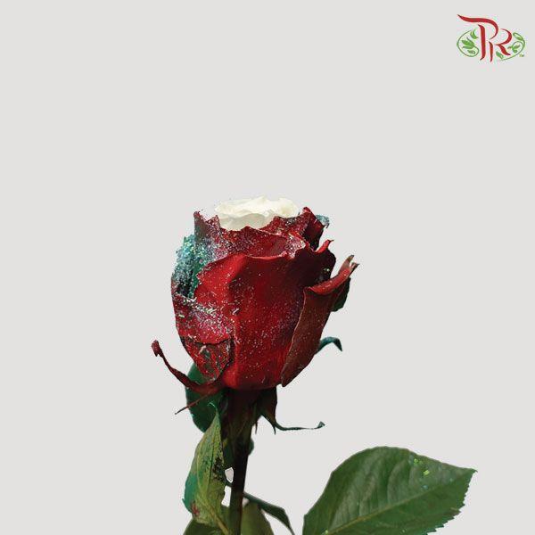 Ceres Rose - Xmas Candy (10 Stems) - Pudu Ria Florist