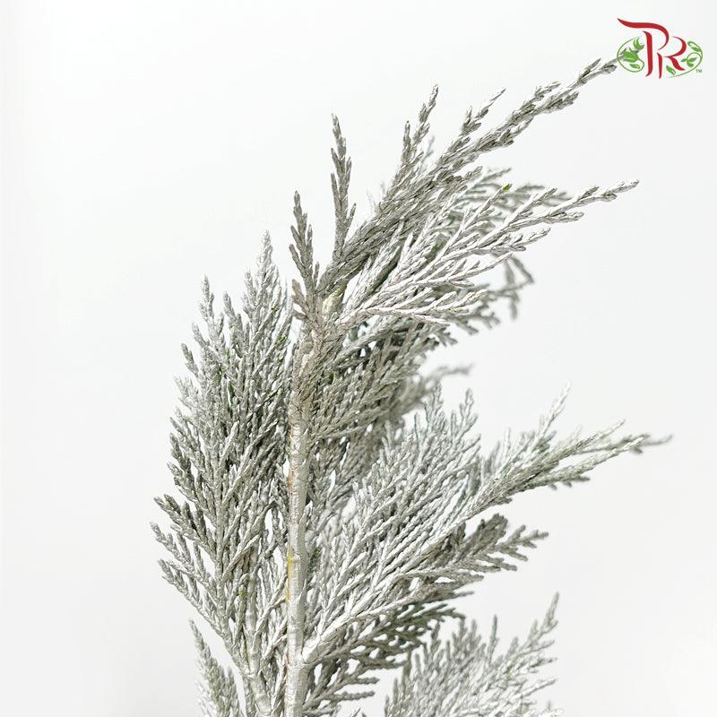 Cedar Leaf Dyed Silver - (5 Stems)-Silver-Africa-prflorist.com.my