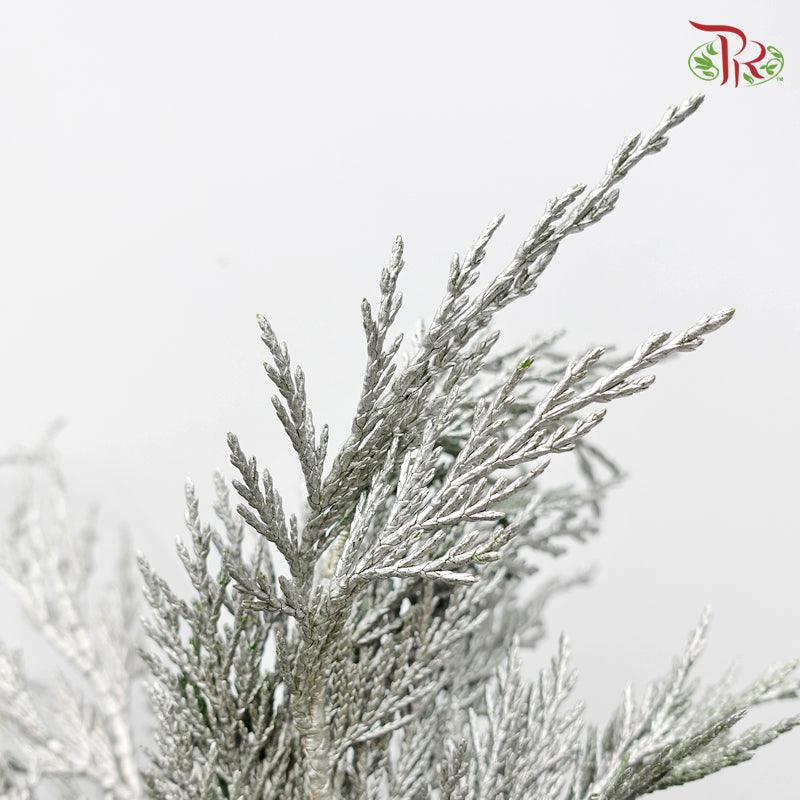 Cedar Leaf Dyed Silver - (5 Stems)-Silver-Africa-prflorist.com.my
