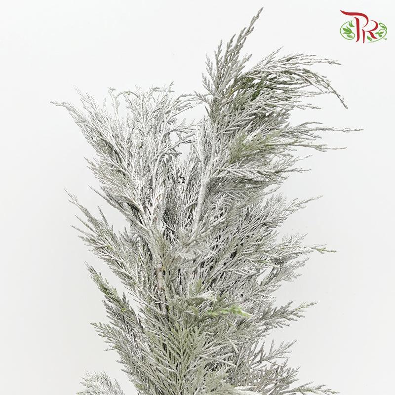 Cedar Leaf Dyed Silver - (5 Stems)-Silver-Africa-prflorist.com.my