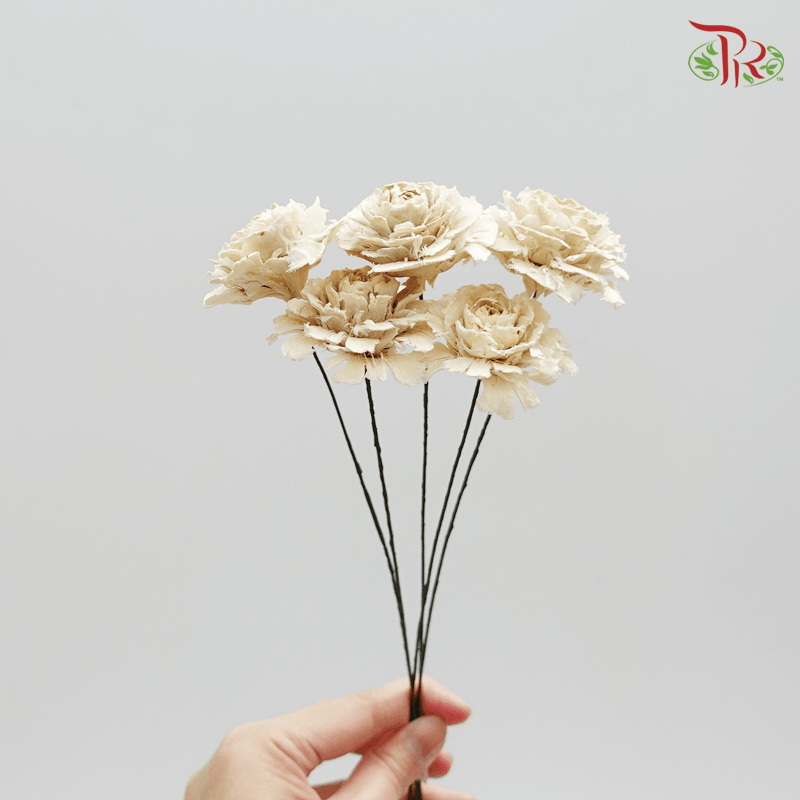 Cedar Rose Preservative - ( 3008-0-010 )-Japan-prflorist.com.my