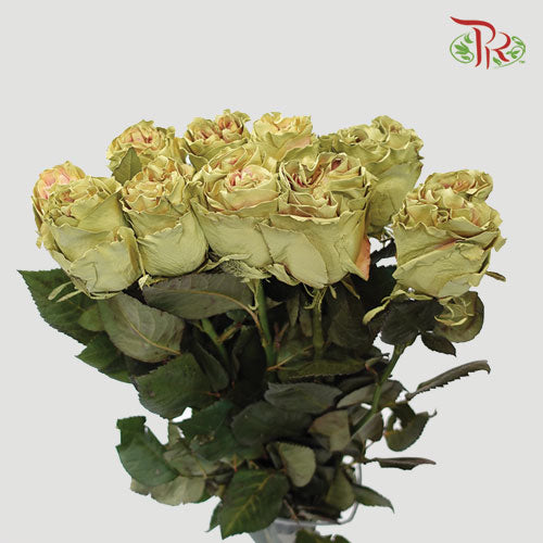 Ceres Rose - Coffee Cream (10 Stems)-Ecd-prflorist.com.my