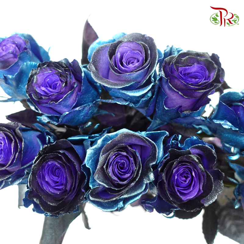 Ceres Rose - Deep Space (10 Stems)-Blue-Ecd-prflorist.com.my
