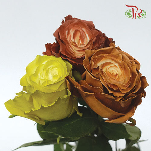 Ceres Rose - Fall Mix (10 Stems)-Ecd-prflorist.com.my