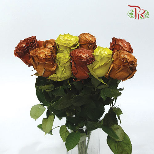 Ceres Rose - Fall Mix (10 Stems)-Ecd-prflorist.com.my