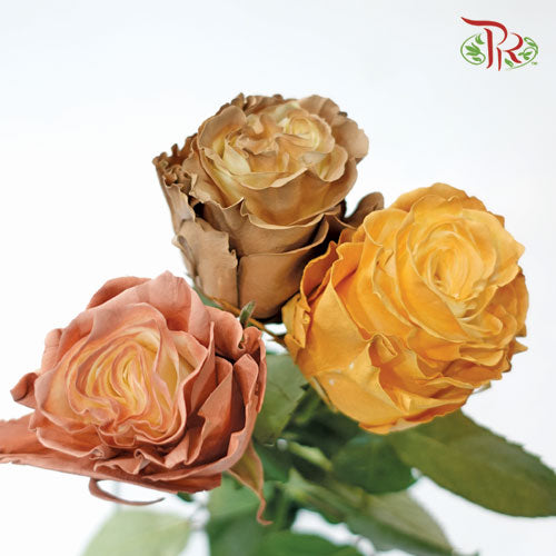 Ceres Rose - Fall Mix 2 (10 Stems)-Ecd-prflorist.com.my