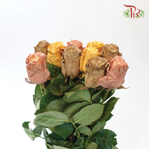 Ceres Rose - Fall Mix 2 (10 Stems)-Ecd-prflorist.com.my