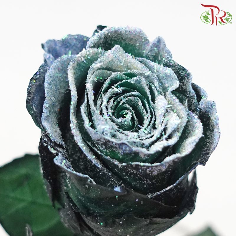 Ceres Rose - Frosting Green (10 Stems)-Ecd-prflorist.com.my