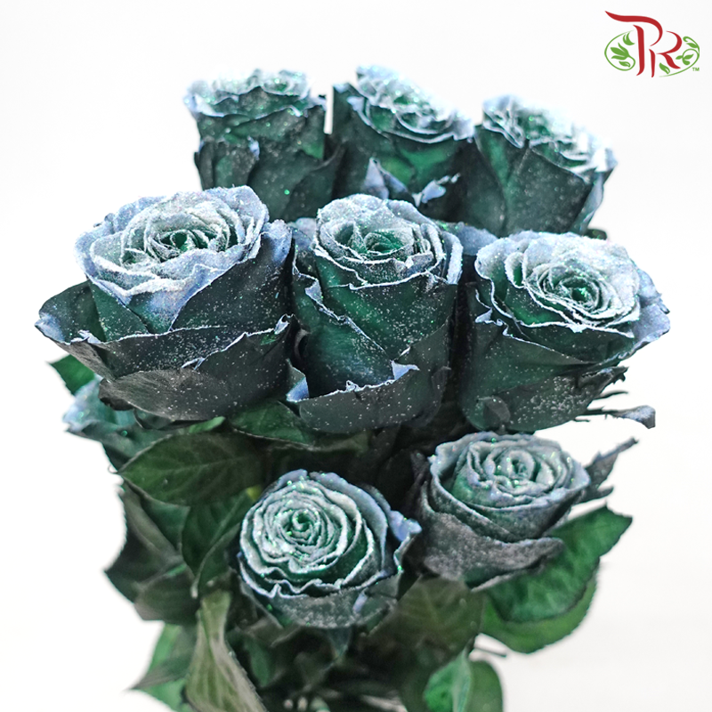 Ceres Rose - Frosting Green (10 Stems)-Ecd-prflorist.com.my