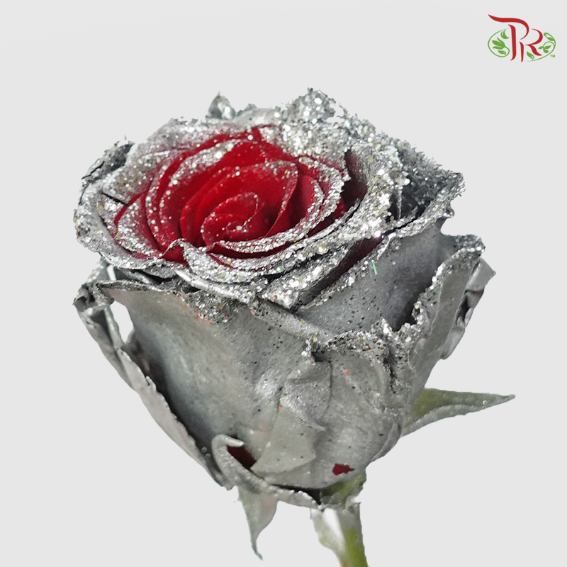 Ceres Rose - Frosting Silver (10 Stems)-Ecd-prflorist.com.my