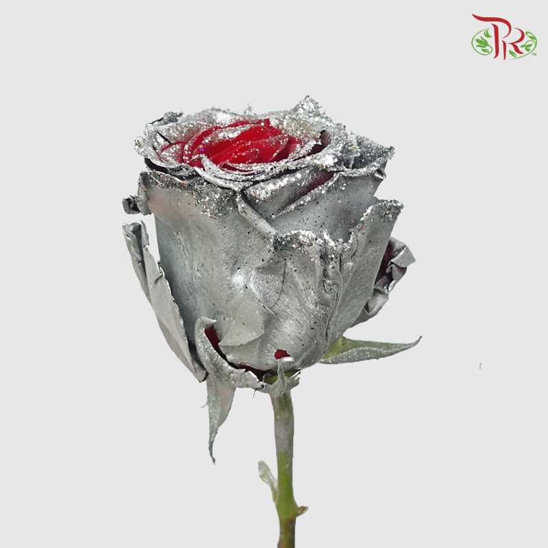 Ceres Rose - Frosting Silver (10 Stems)-Ecd-prflorist.com.my