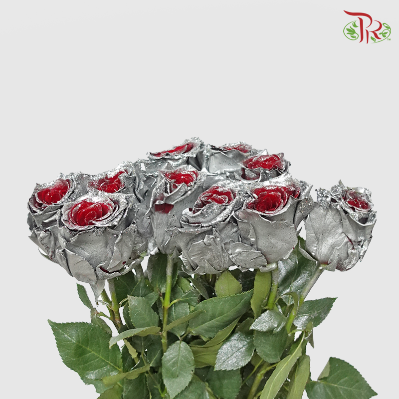 Ceres Rose - Frosting Silver (10 Stems)-Ecd-prflorist.com.my