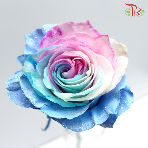 Ceres Rose - Frosting Sky 2 (10 stems)-Ecd-prflorist.com.my