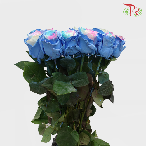 Ceres Rose - Frosting Sky 2 (10 stems)-Ecd-prflorist.com.my