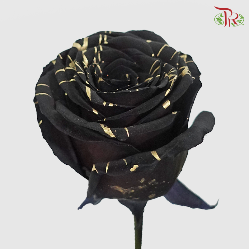 Ceres Rose - Gold Widow (10 Stems)-Ecd-prflorist.com.my