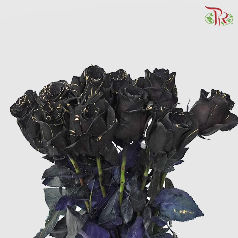 Ceres Rose - Gold Widow (10 Stems)-Ecd-prflorist.com.my