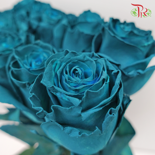 Ceres Rose - Jade (10 Stems)-Ecd-prflorist.com.my