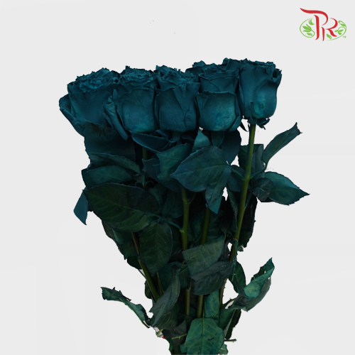 Ceres Rose - Jade (10 Stems)-Ecd-prflorist.com.my