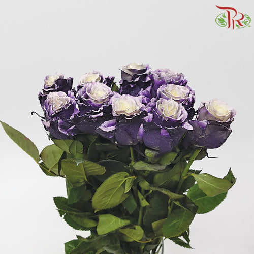 Ceres Rose - Lavanda Glitter (10 Stems)-Ecd-prflorist.com.my