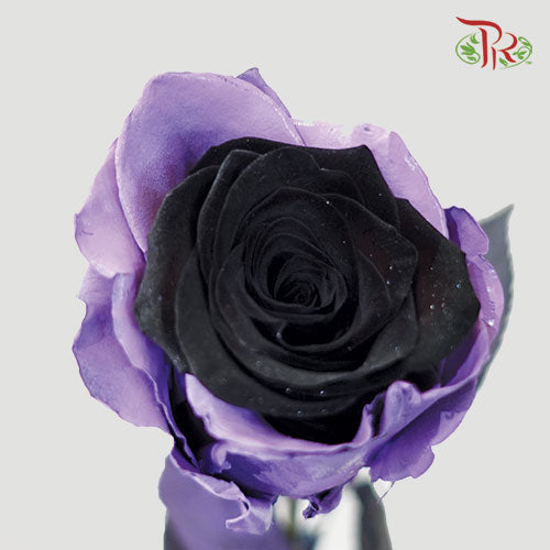 Ceres Rose - Light Amethyst (10 Stems)-Ecd-prflorist.com.my