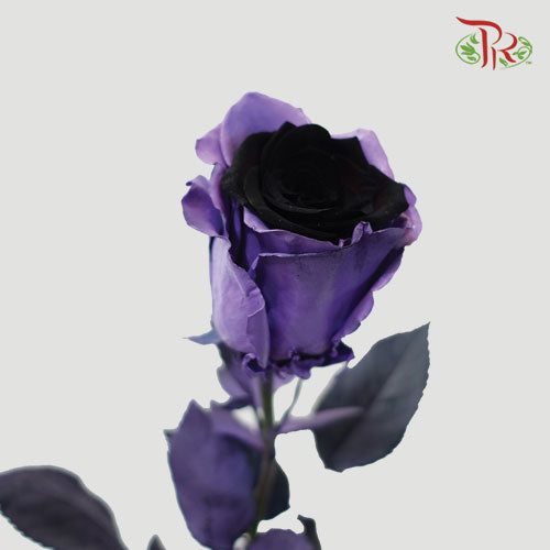 Ceres Rose - Light Amethyst (10 Stems)-Ecd-prflorist.com.my