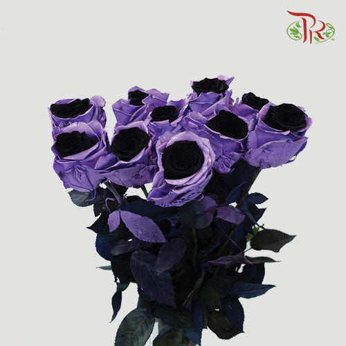 Ceres Rose - Light Amethyst (10 Stems)-Ecd-prflorist.com.my