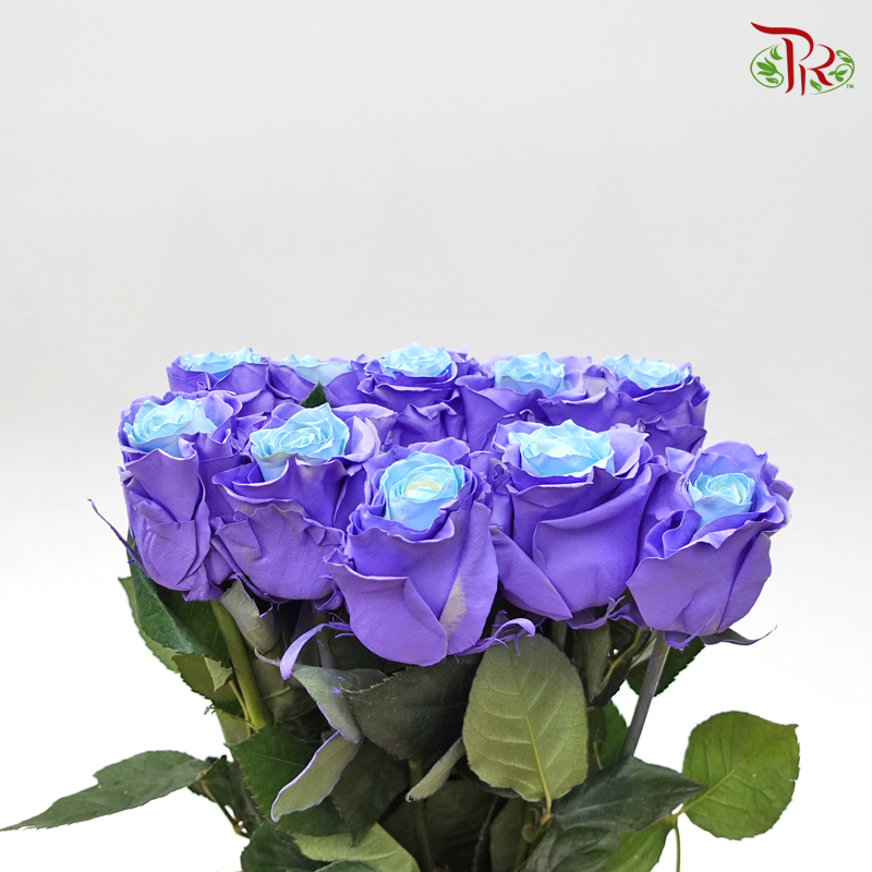 Ceres Rose - Light Blue Lavender (10 Stems)-Ecd-prflorist.com.my