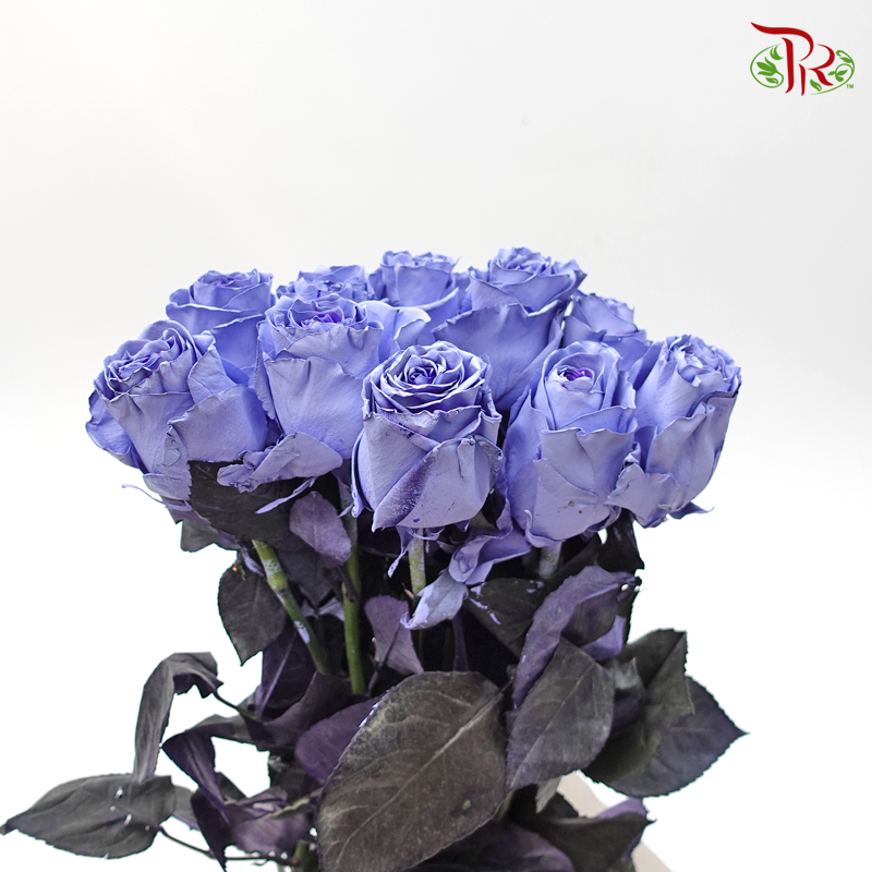 Ceres Rose - Light Lavender (10 Stems)-Ecd-prflorist.com.my
