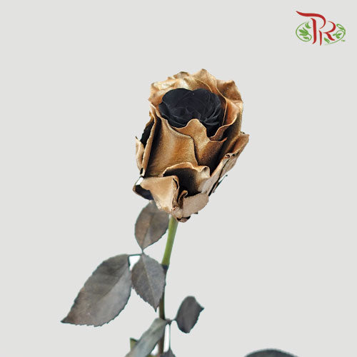 Ceres Rose - Luxury Gold (10 Stems)-Ecd-prflorist.com.my