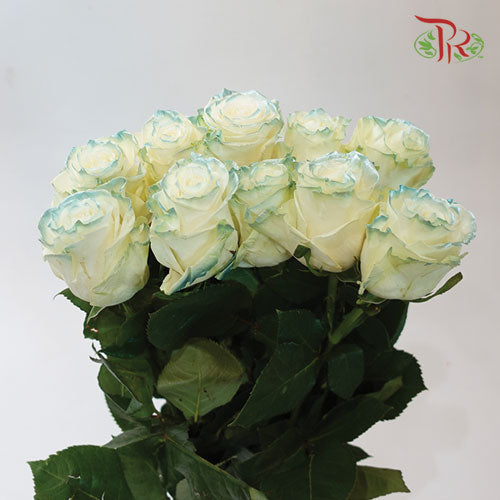 Ceres Rose - M.Shiny Blue Gray (10 Stems)-Ecd-prflorist.com.my