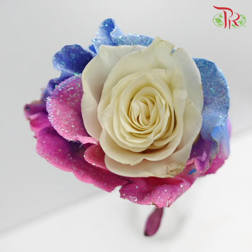 Ceres Rose - Magical Sky 3 (10 Stems)-Ecd-prflorist.com.my