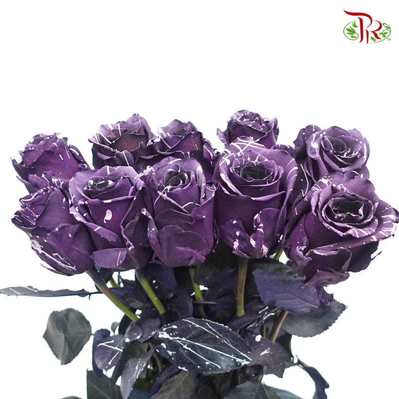 Ceres Rose - Marble Amethyst (10 Stems)-Purple-Ecd-prflorist.com.my