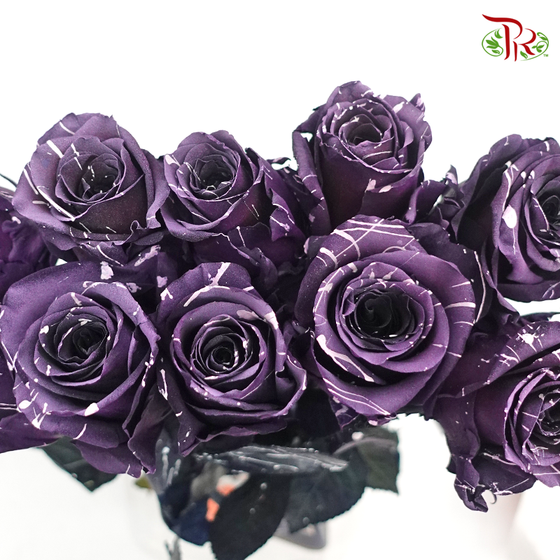 Ceres Rose - Marble Amethyst (10 Stems)-Purple-Ecd-prflorist.com.my