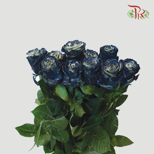 Ceres Rose - Moonlight (10 Stems)-Ecd-prflorist.com.my